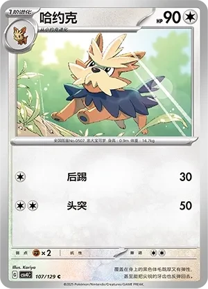 哈约克