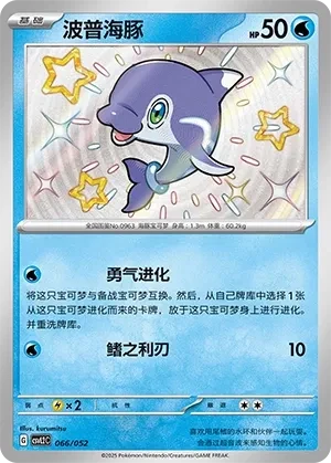 波普海豚