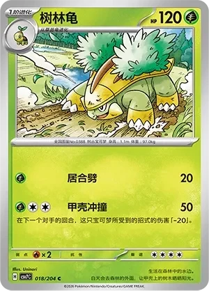 树林龟