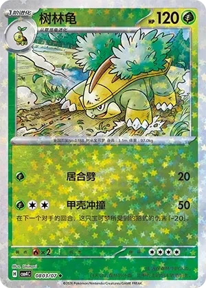 树林龟