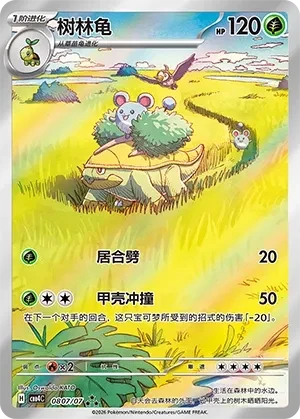 树林龟