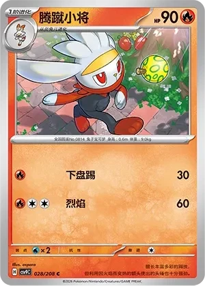 腾蹴小将
