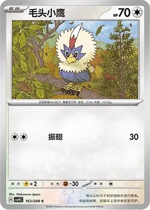 毛头小鹰