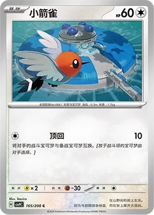 小箭雀