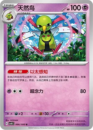 天然鸟