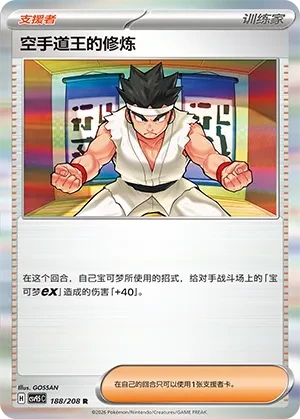 Black Belt's Training