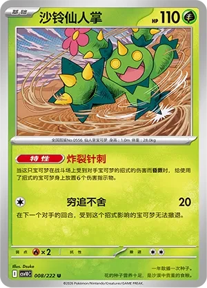 沙铃仙人掌