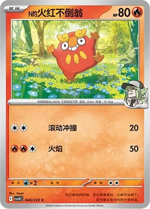 火红不倒翁