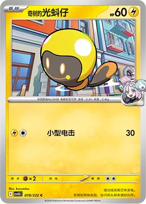 光蚪仔