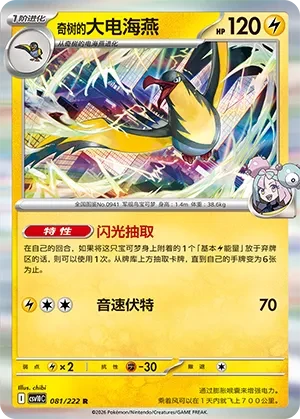 大电海燕