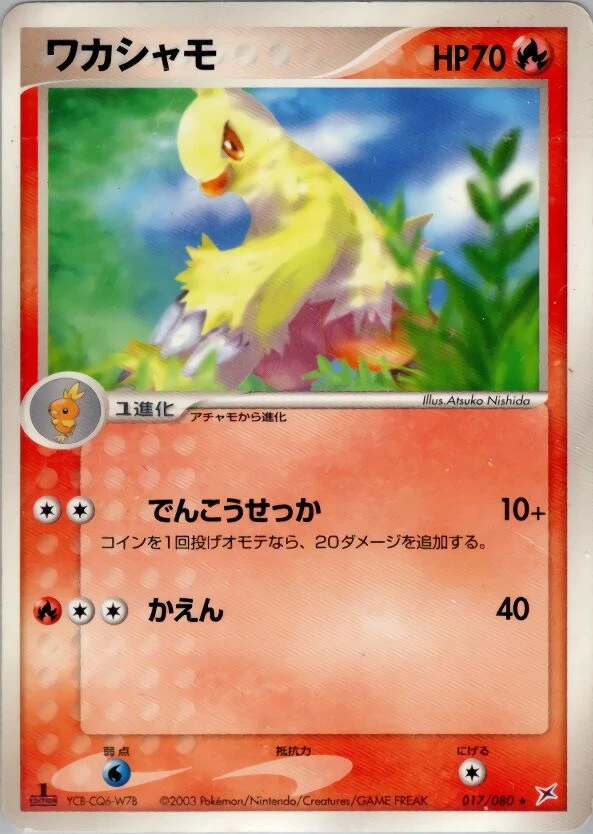 ワカシャモ