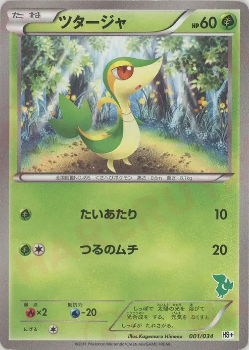 ツタージャ