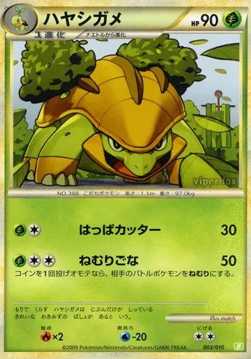 ハヤシガメ