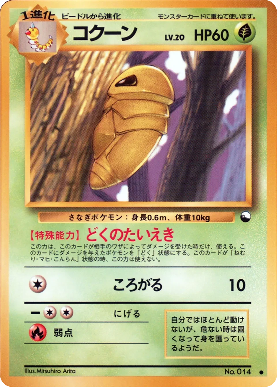コクーン