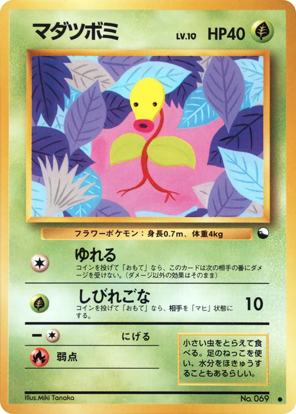 マダツボミ