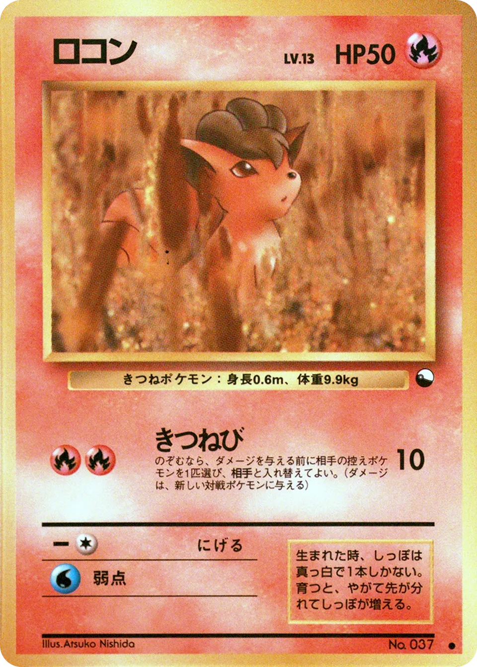 ロコン