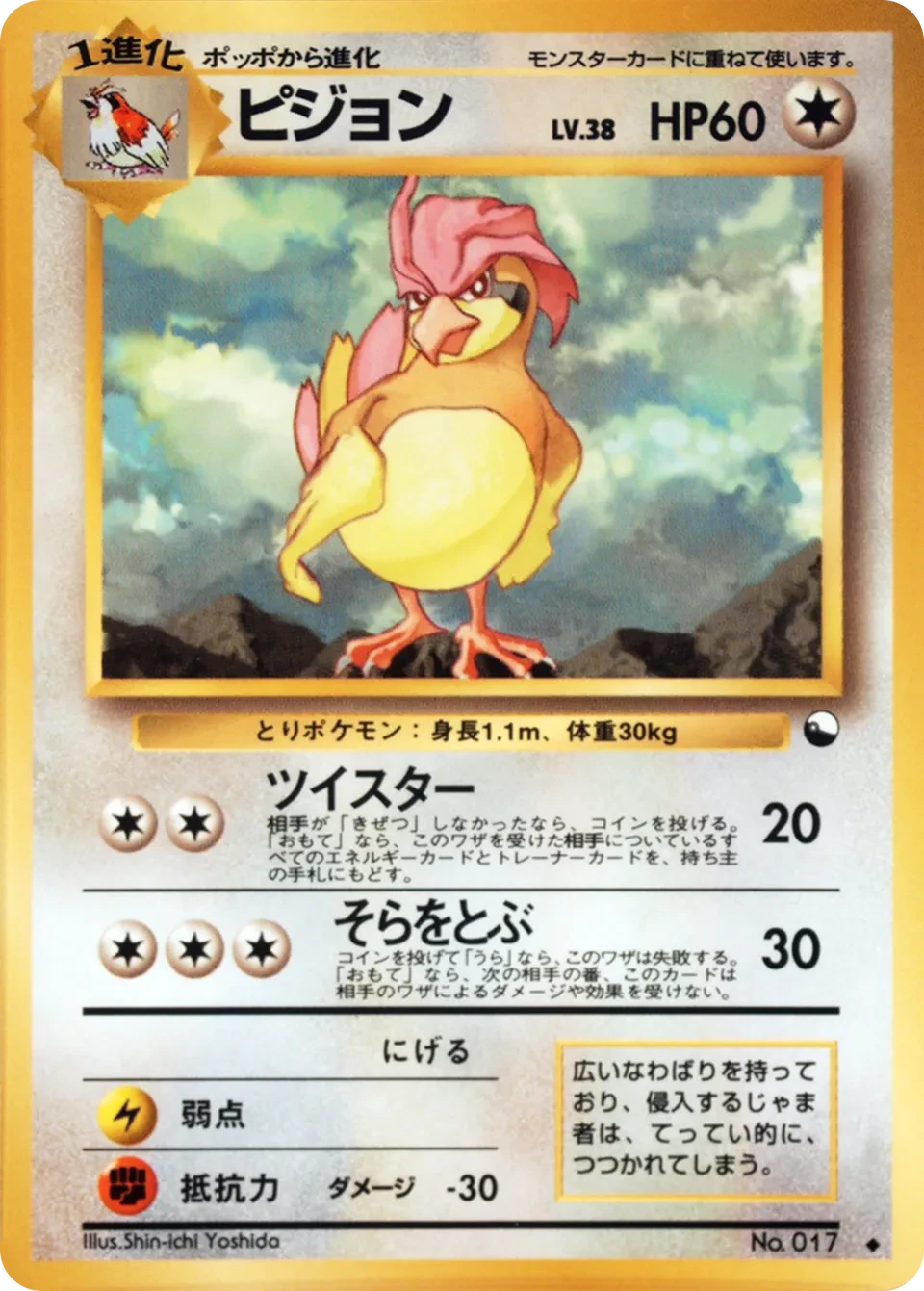 ピジョン