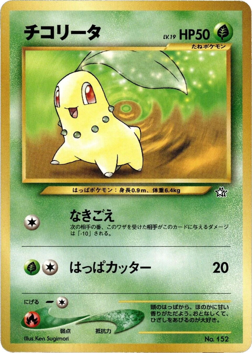 チコリータ