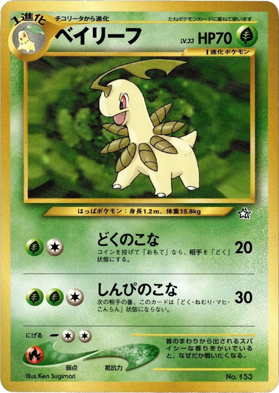ベイリーフ