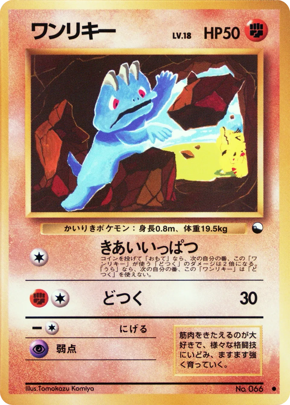 ワンリキー