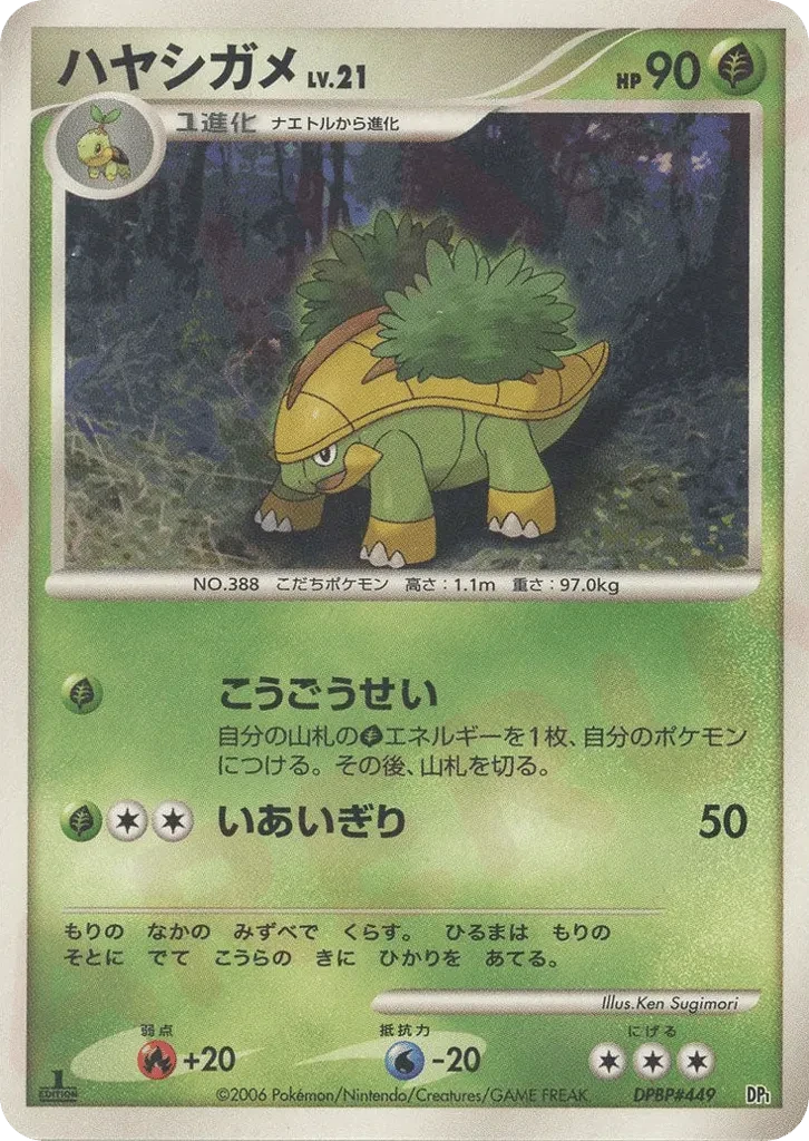 ハヤシガメ