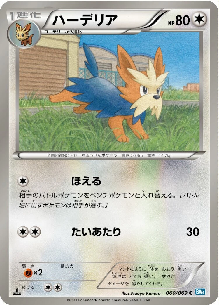 ハーデリア
