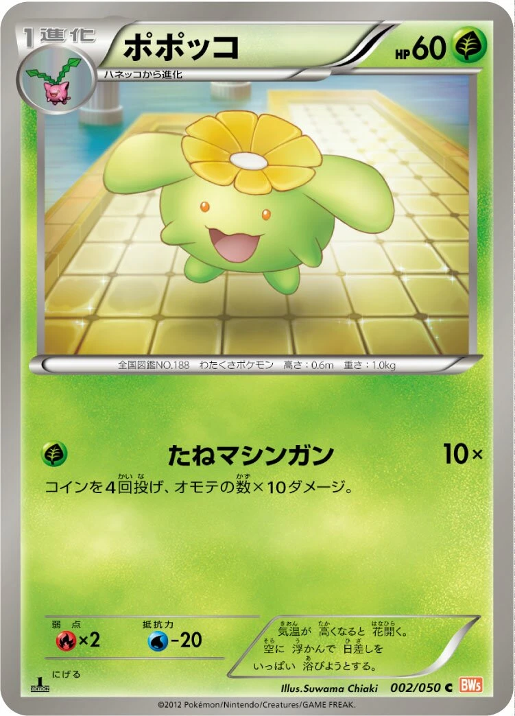 ポポッコ