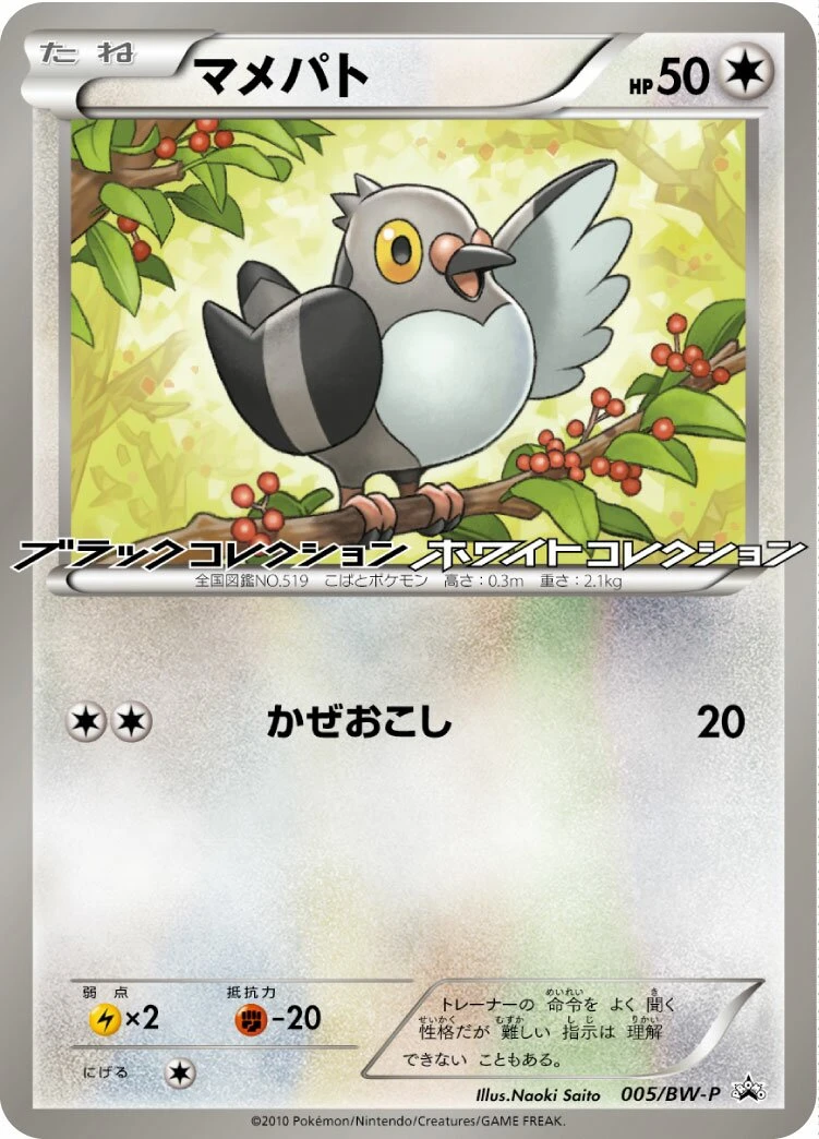 マメパト