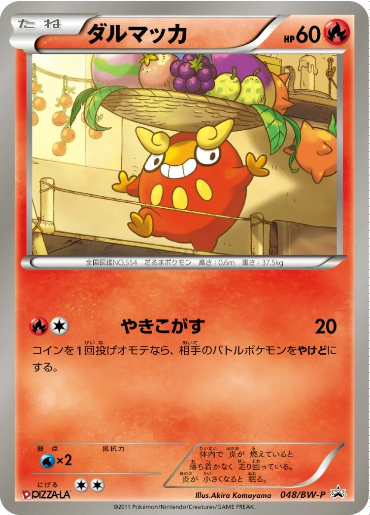 ダルマッカ
