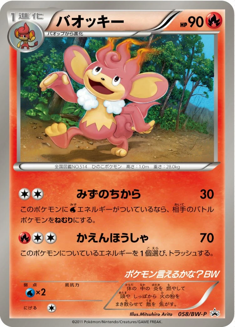バオッキー