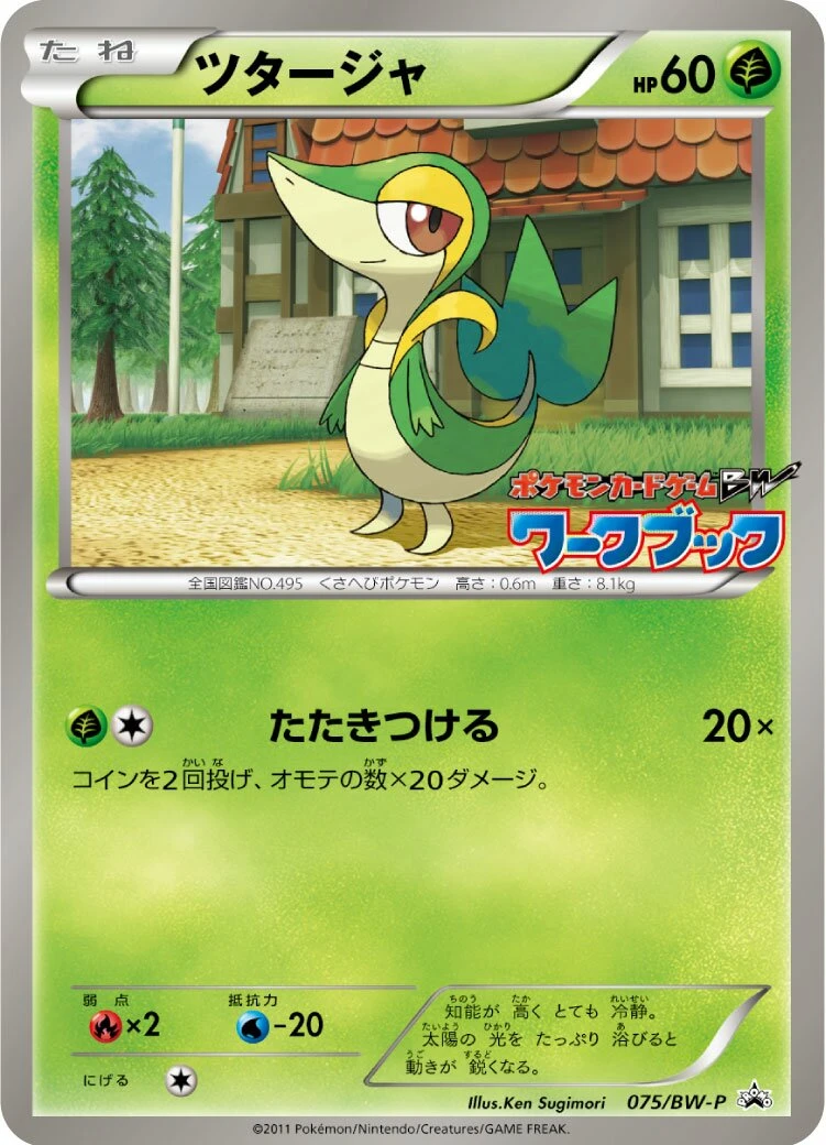 ツタージャ