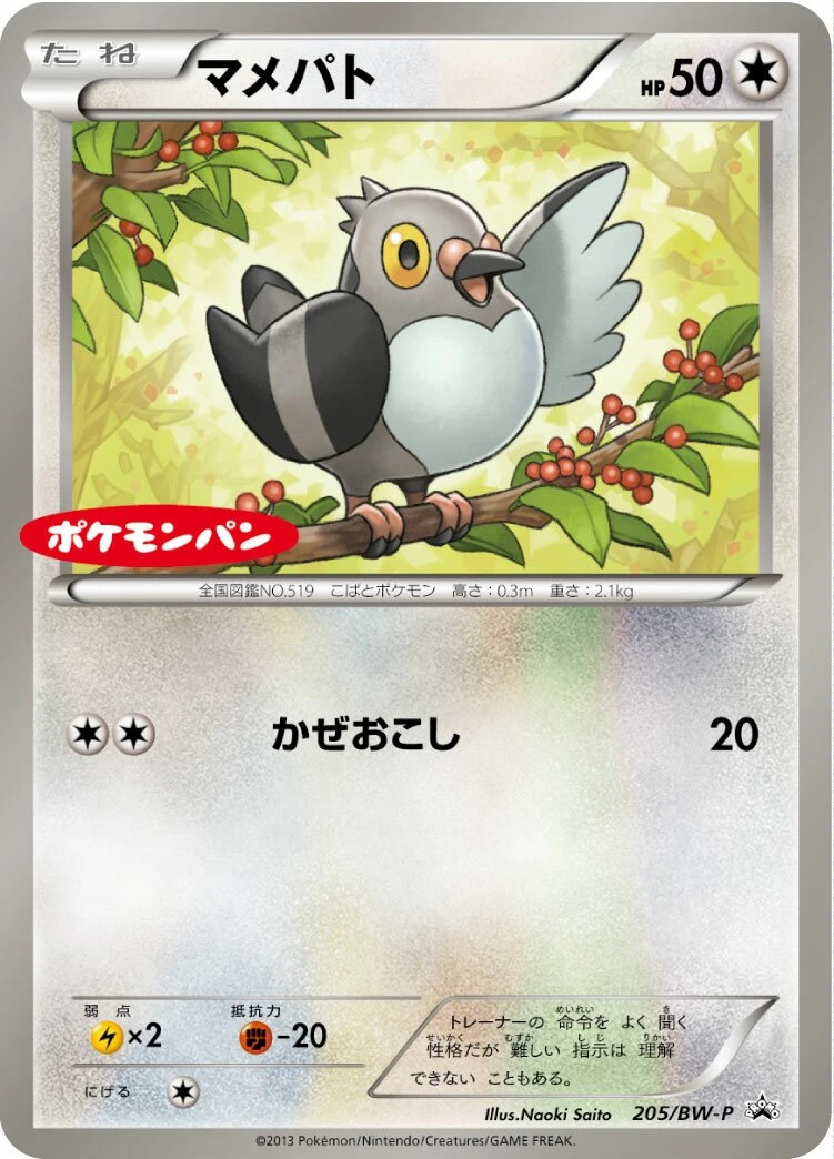 マメパト