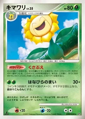 キマワリ