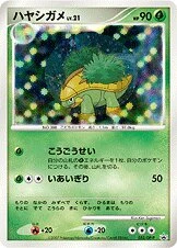 ハヤシガメ