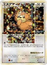 ヒメグマ