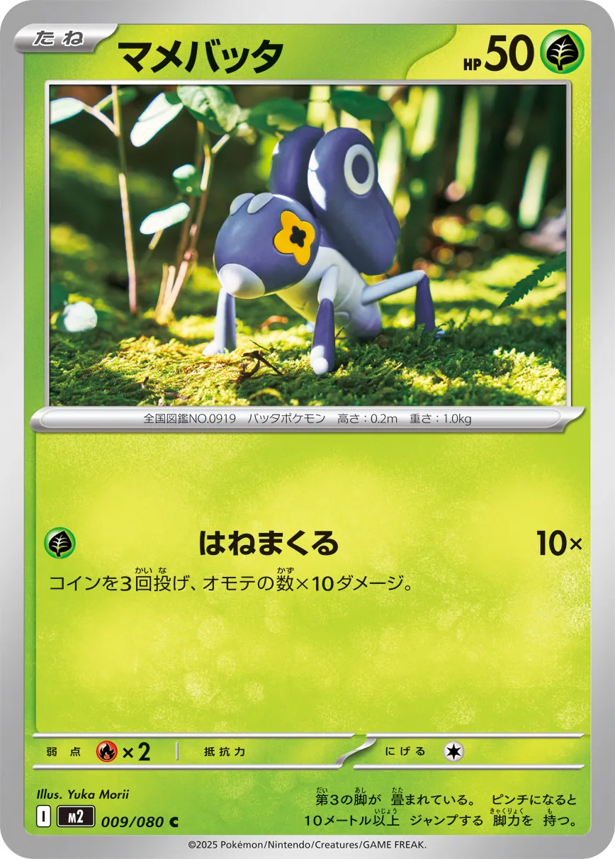 マメバッタ