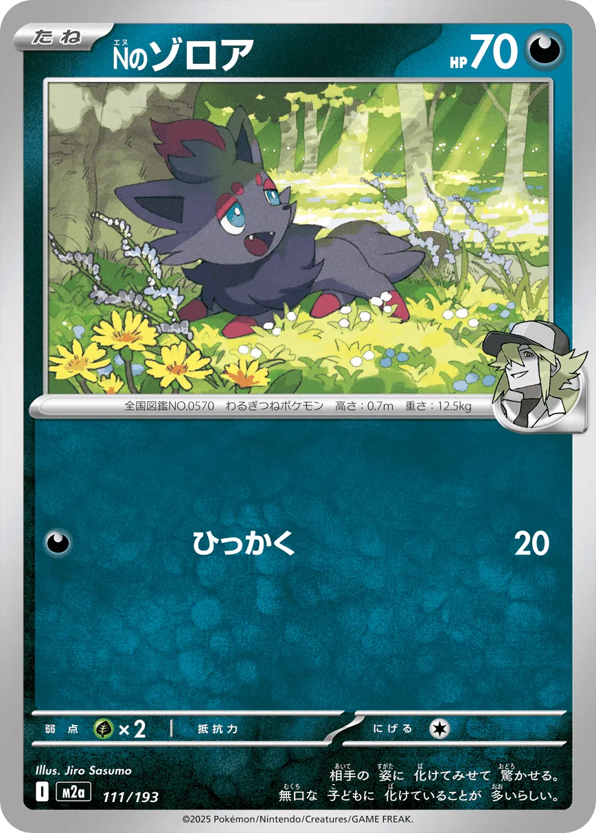 Nのゾロア