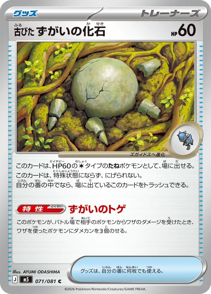 古びたずがいの化石