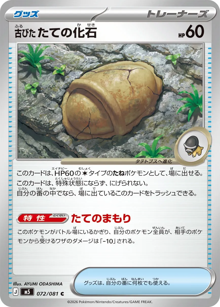 古びたたての化石