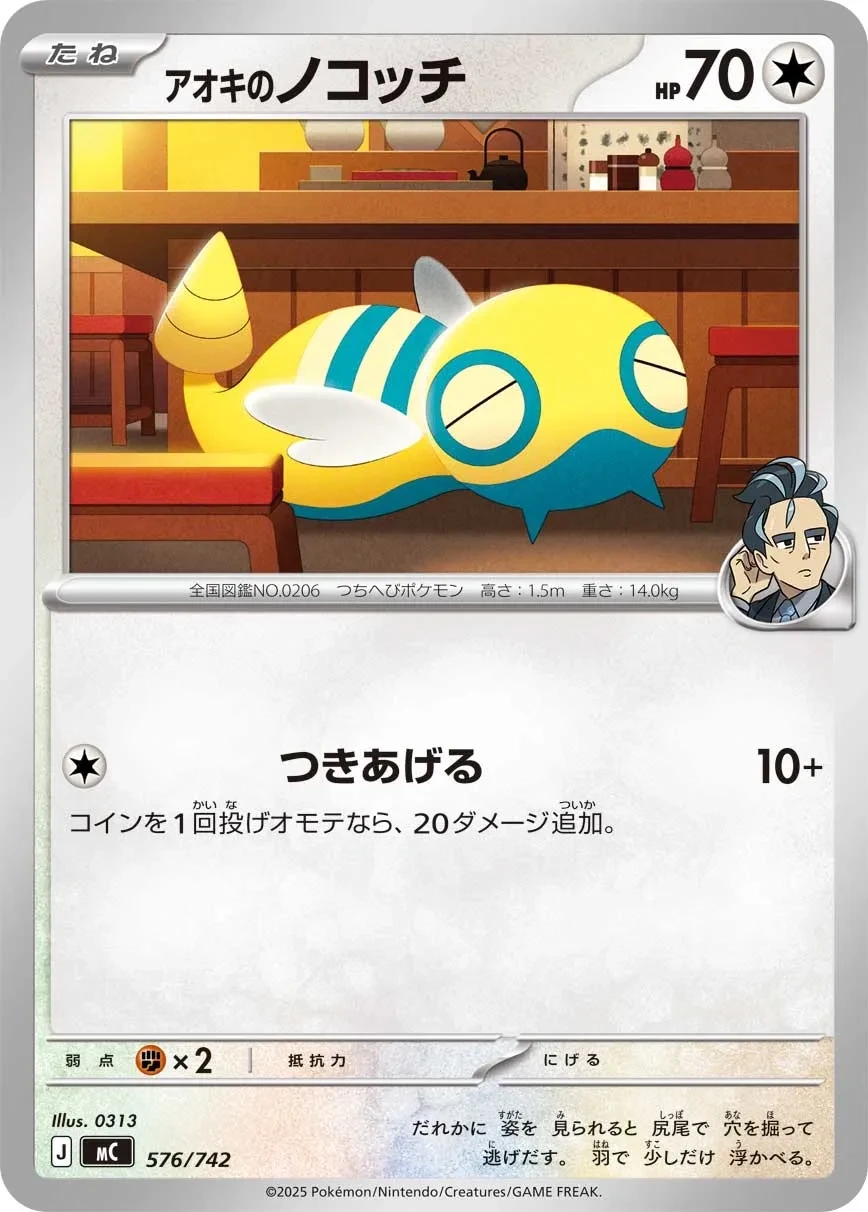 アオキのノコッチ
