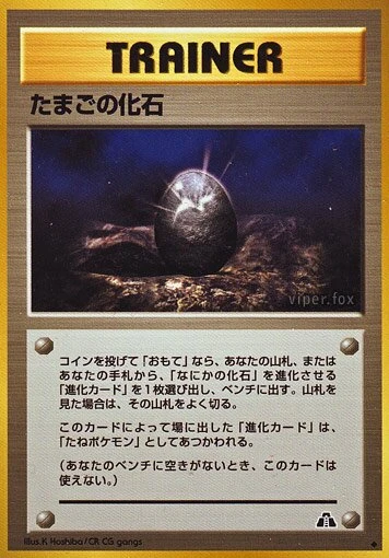 化石卵