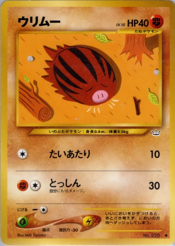 swinub