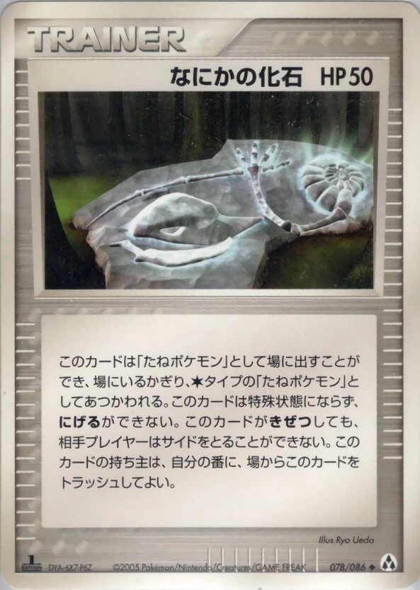 神秘的な化石