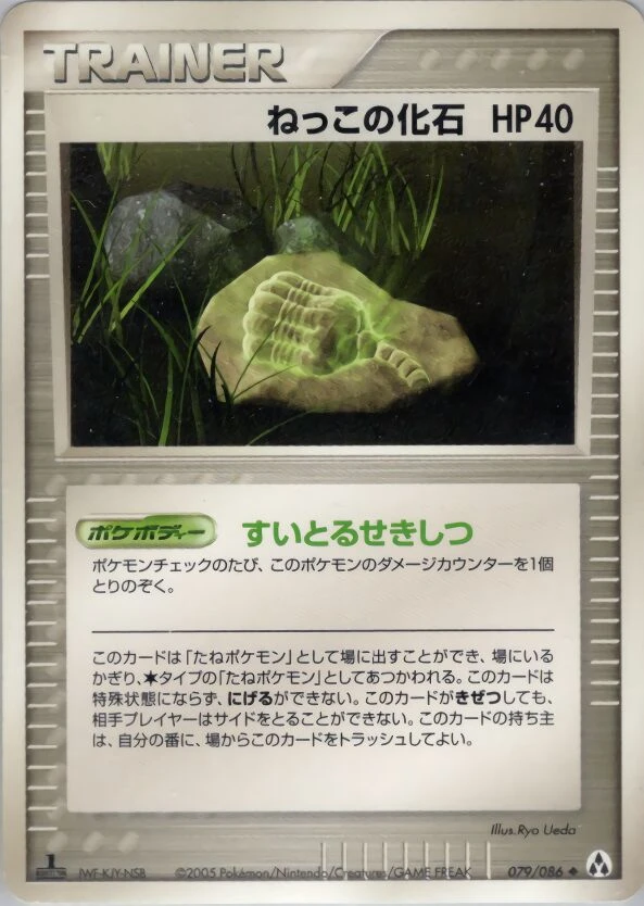 根の化石