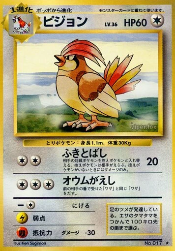 ピジョン