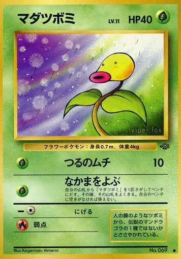 マダツボミ
