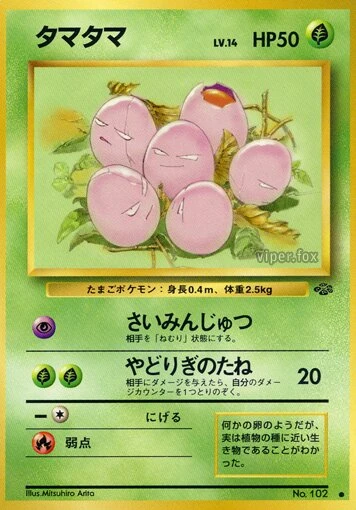 タマタマ