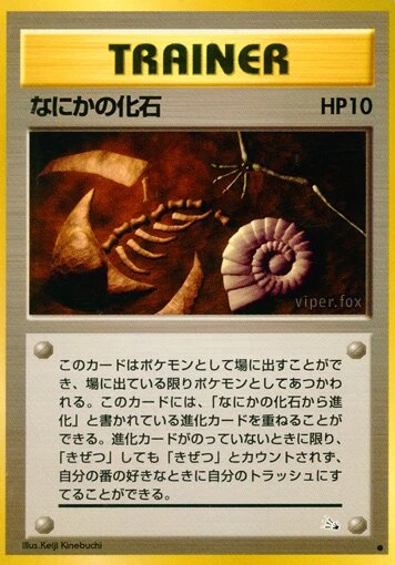 なにかの化石