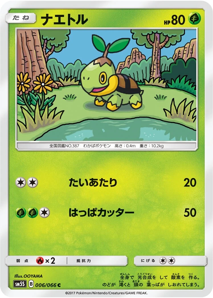 ナエトル