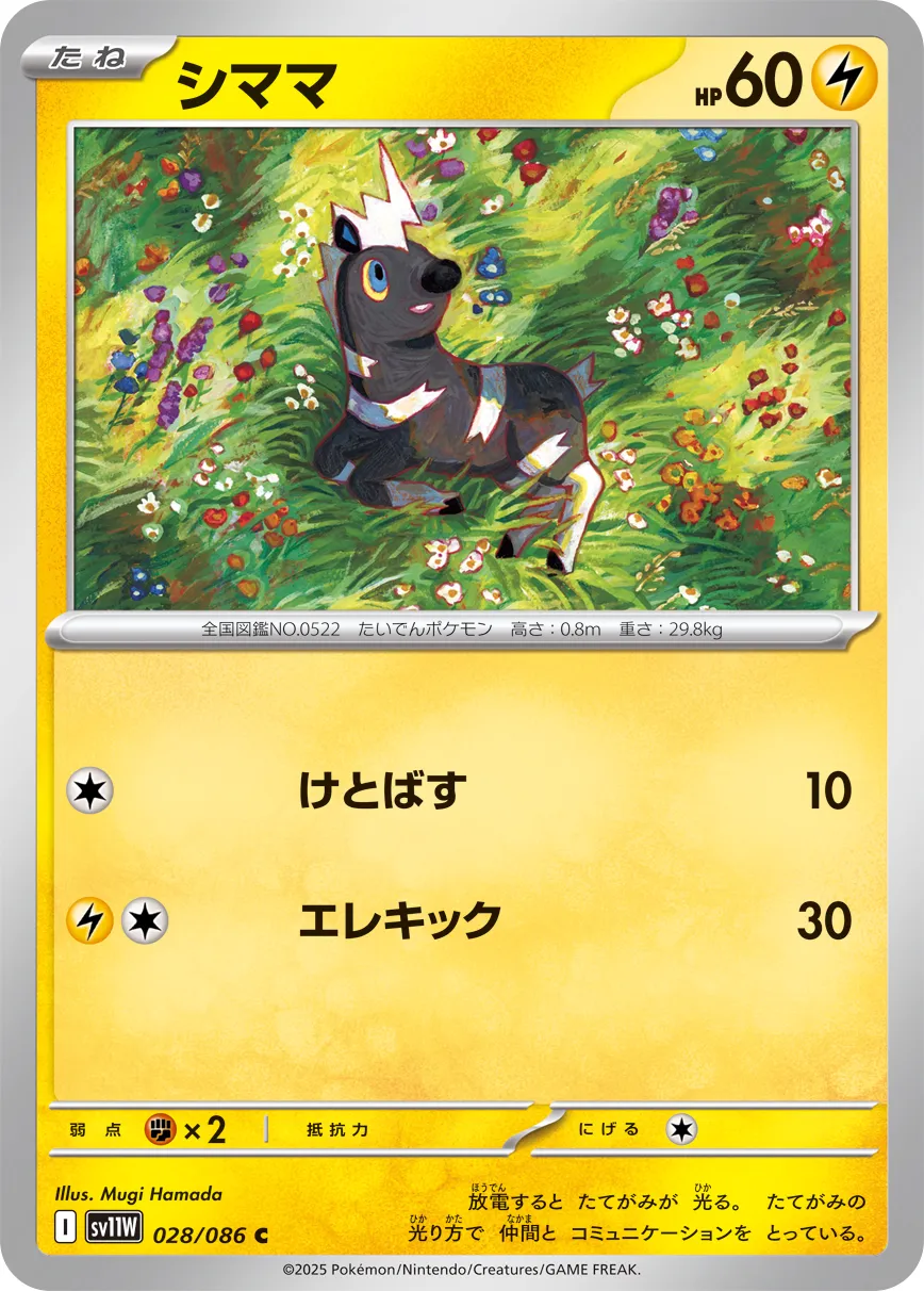 シママ